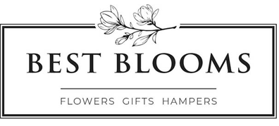 Customer Logo